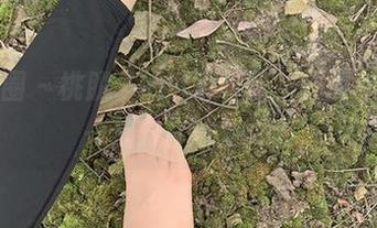 微密圈 - 桃脱了的透明印记，原图和资源一起分享这些要素